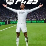 EA Sports FC 25 Standard Edition (Xbox Key / Global)