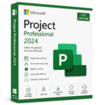 Microsoft Project Professional 2024