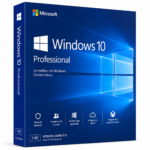 Windows 10 Professional